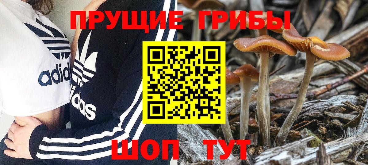 Галлюциногенные грибы MAGIC MUSHROOMS Гай