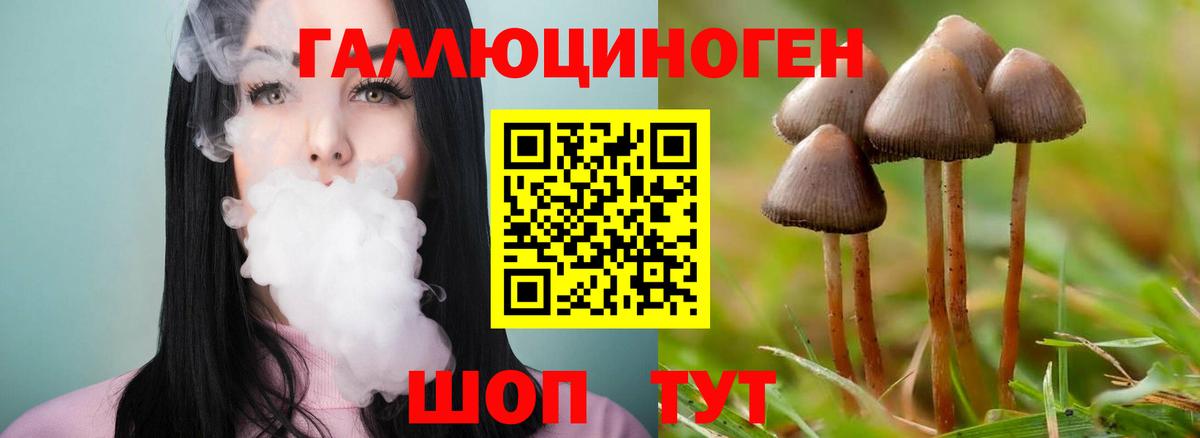 Гай  Псилоцибиновые грибы мухоморы  Вход с VPN 